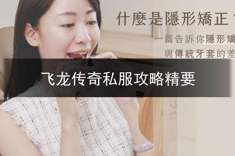 飞龙传奇私服攻略精要